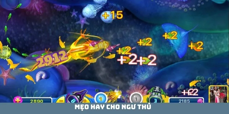 Mẹo hay cho ngư thủ