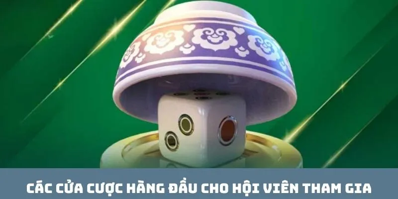 Các cửa cược hàng đầu cho hội viên tham gia