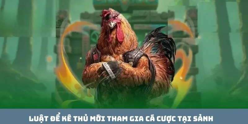 Luật để kê thủ mới tham gia cá cược tại sảnh