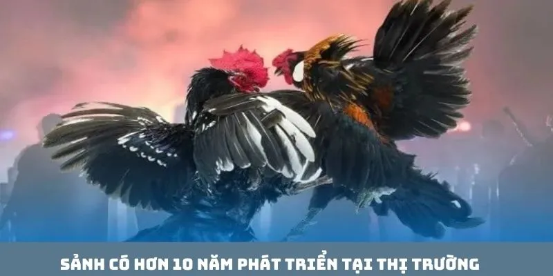 Sảnh có hơn 10 năm phát triển tại thị trường