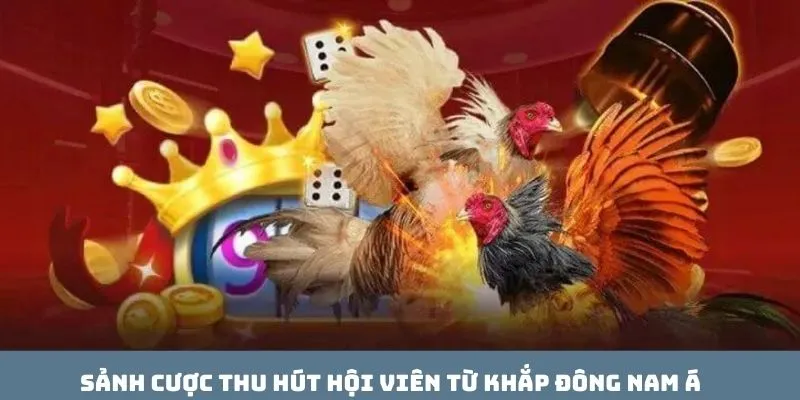 Sảnh cược thu hút hội viên từ khắp đông nam á