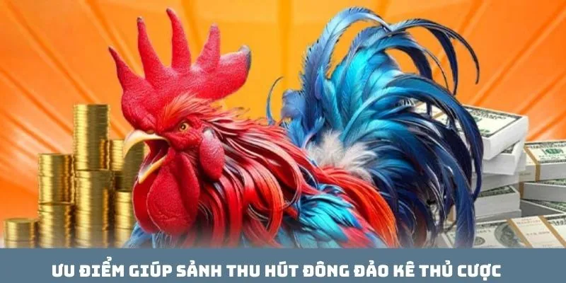 Ưu điểm giúp sảnh thu hút đông đảo kê thủ cược